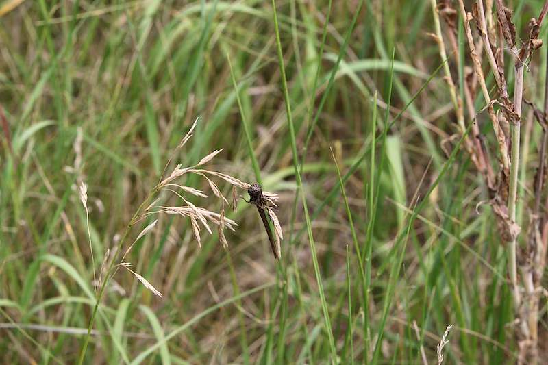 IMG_2552.JPG